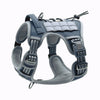 Tailova Adventure Harness
