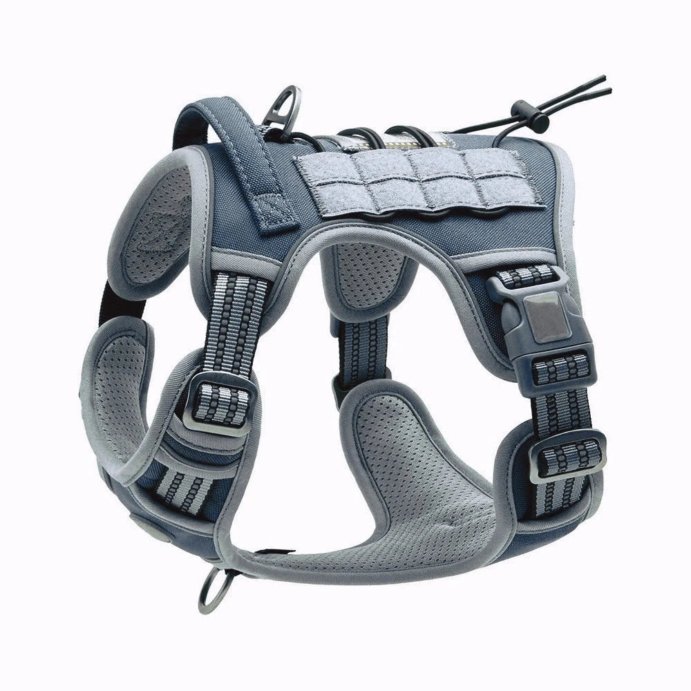 Tailova Adventure Harness