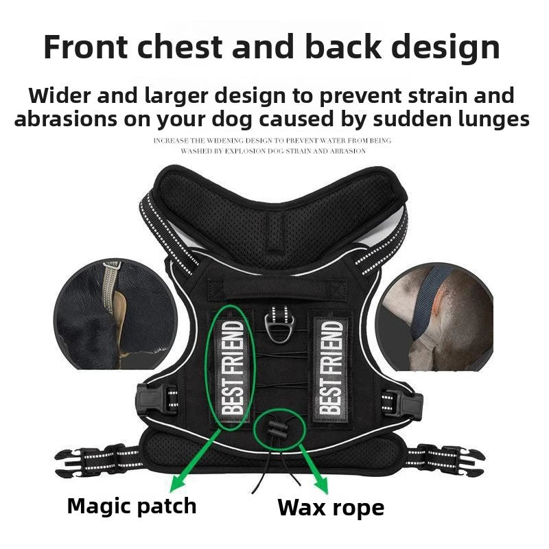 Tailova Adventure Harness