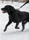 Tailova Adventure Harness