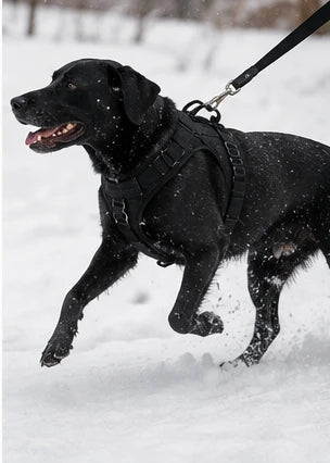 Tailova Adventure Harness