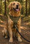 Tailova Adventure Harness