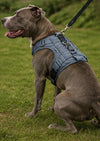 Tailova Adventure Harness