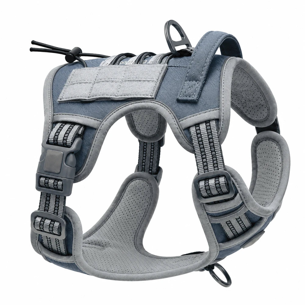 Tailova Adventure Harness