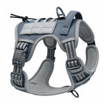 No-Pull Adventure Harness