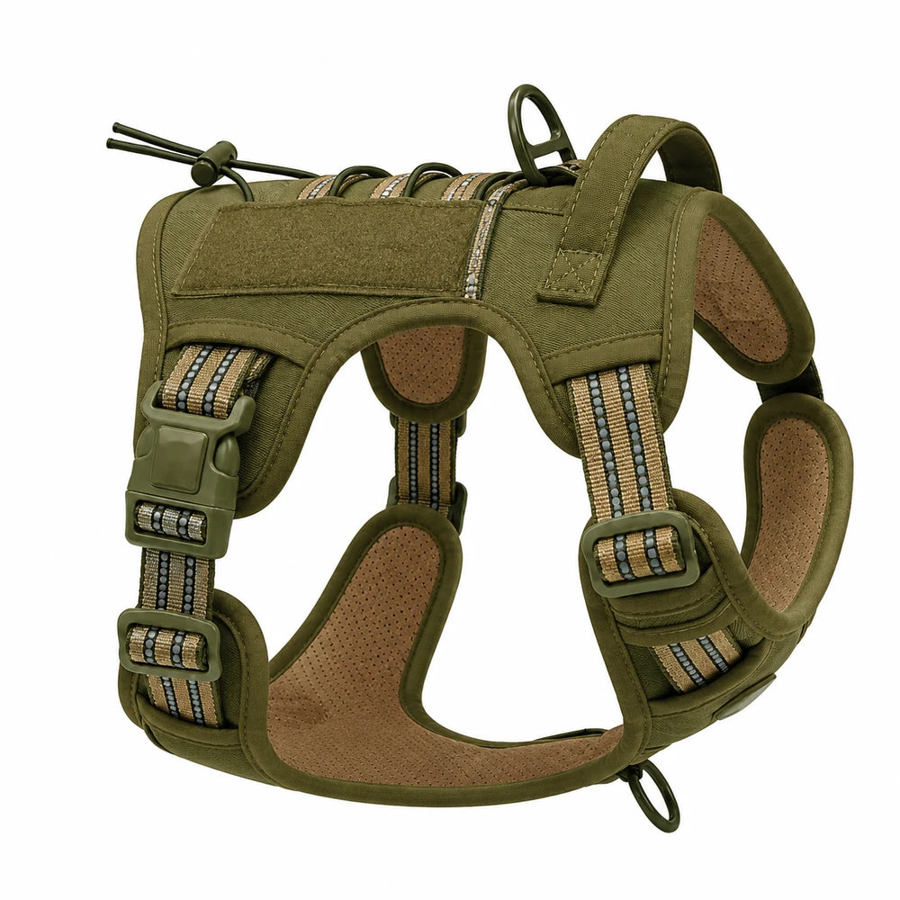 Tailova Adventure Harness