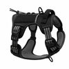 Tailova Adventure Harness