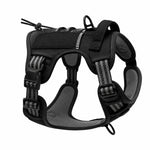 No-Pull Adventure Harness