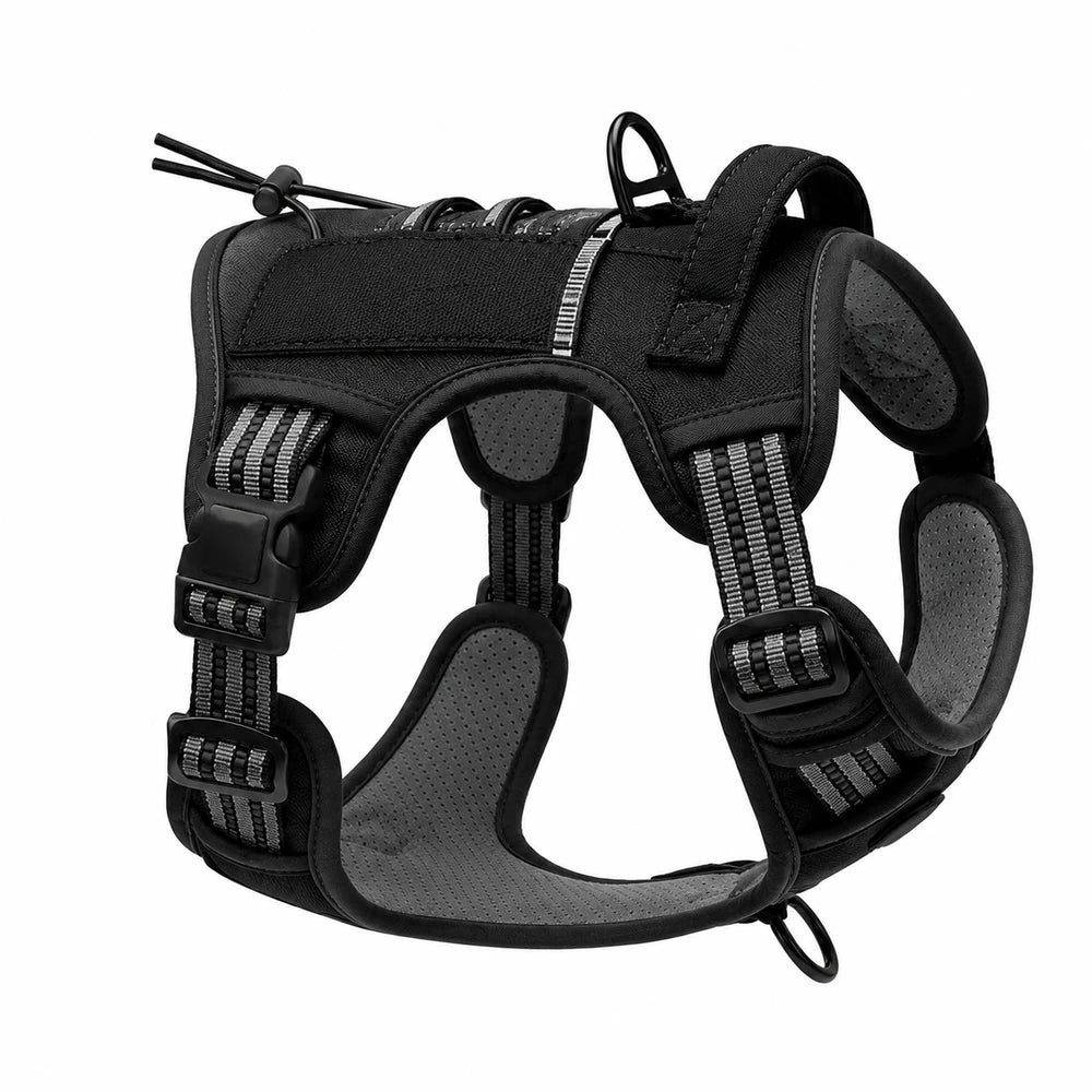 Tailova Adventure Harness
